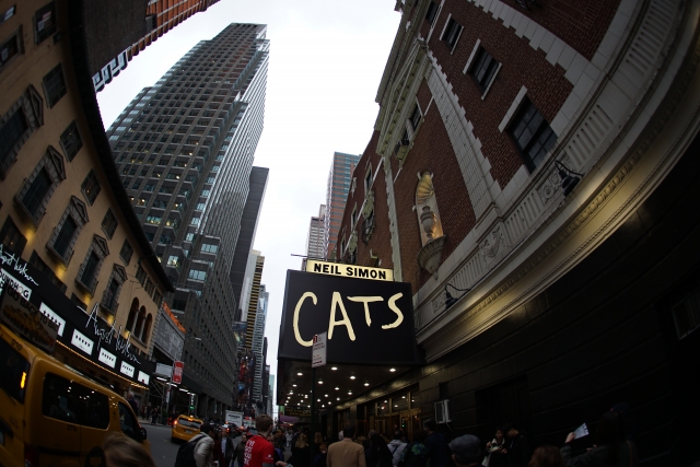 CATS THEATER